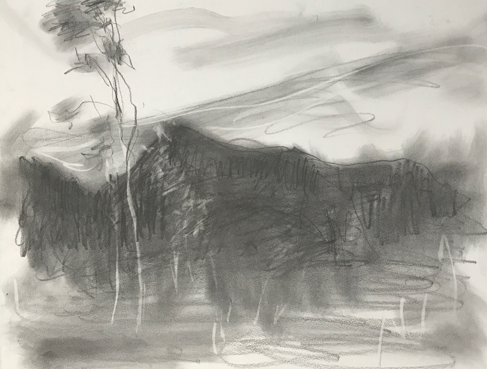"Landscape" by Bao J Zhou (11”x14” Ink on Paper)